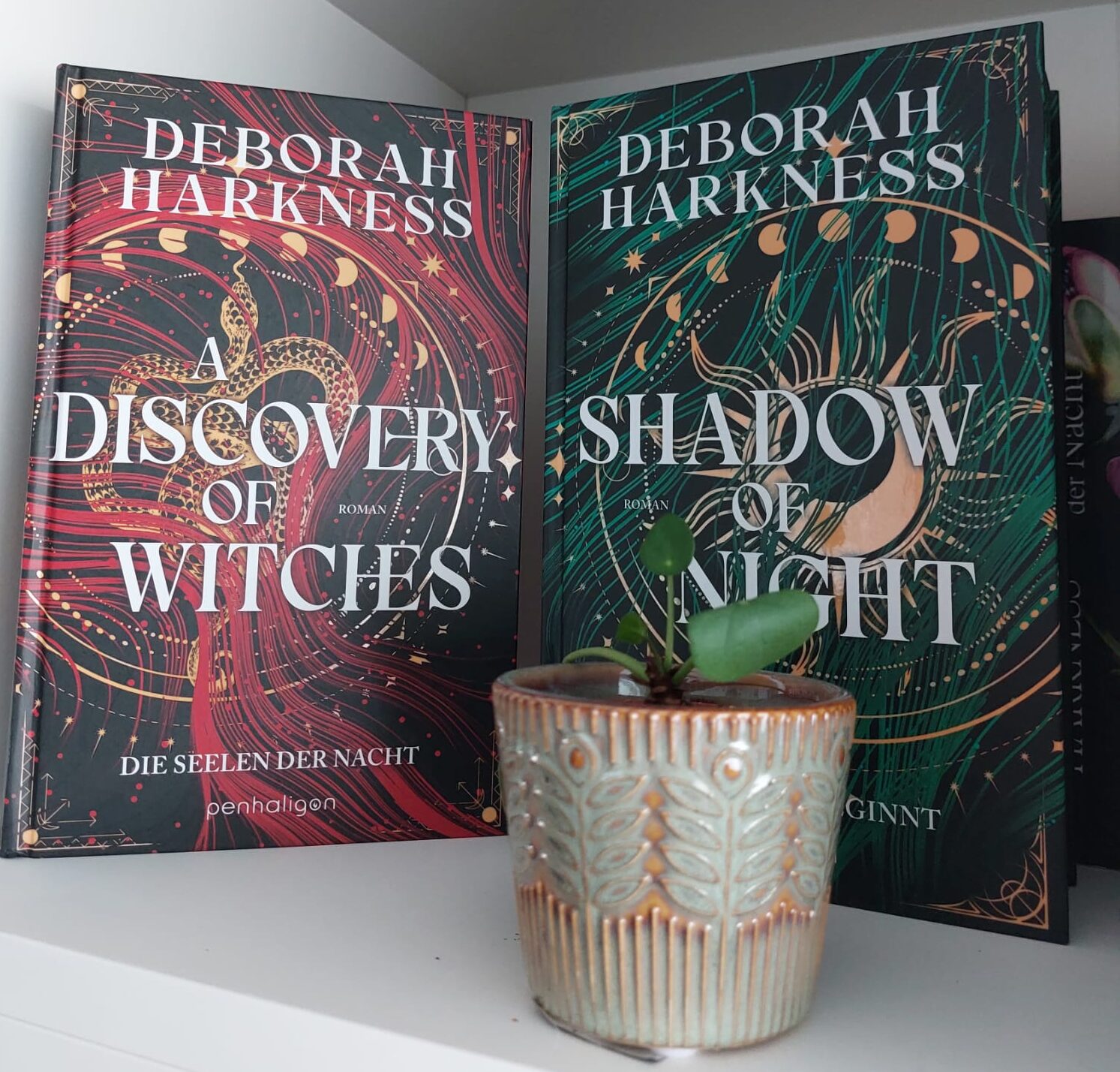 A Discovery of Witches